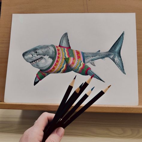 Colored pencil drawing of a Great White Shark in a colourful jumper. Jumper Drawing, Great White Shark Drawing, Colourful Jumper, Italian Greyhound Art, Animal Valentine Cards, Dinosaur Wedding, Shark Painting, Zebra Birthday, Punny Gifts