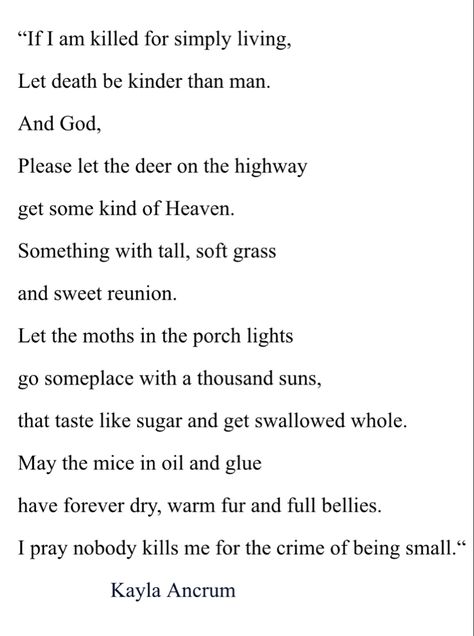 "I pray nobody kills me for the crime of being small." Thank you for touching me with this beautiful poem. Poems About Fish, Spider Poem Tiktok, Althea Davis Poem, Laika Poem, If I Am Killed For Simply Living Poem, Thank You Poem, Melancholy Poems, Classic Poems Literature, Bug Poem