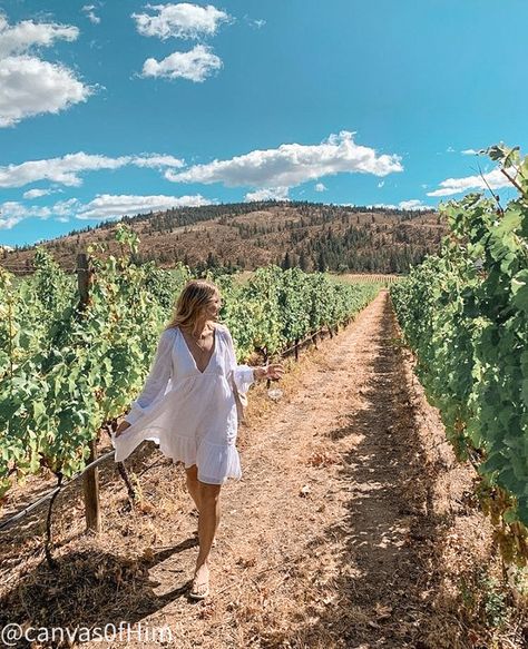 Winery Photo Ideas Instagram, Winery Picture Ideas Instagram, Wine Tasting Photo Ideas, Vineyard Photo Ideas, Wine Tasting Photoshoot, Vineyard Instagram Pictures, Wine Farm Aesthetic, Napa Valley Picture Ideas, Tuscany Wine Tour Outfit