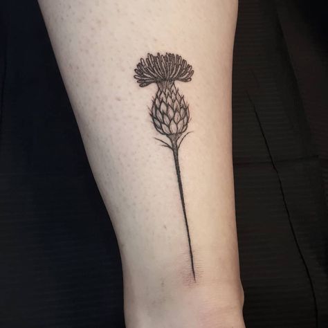 Scottish Thistle Tattoo, White Thistle, Thistle Tattoo, Wildlife Tattoo, Scottish Thistle, Nature Tattoos, Tattoo Inspo, Flower Tattoo, Tatting