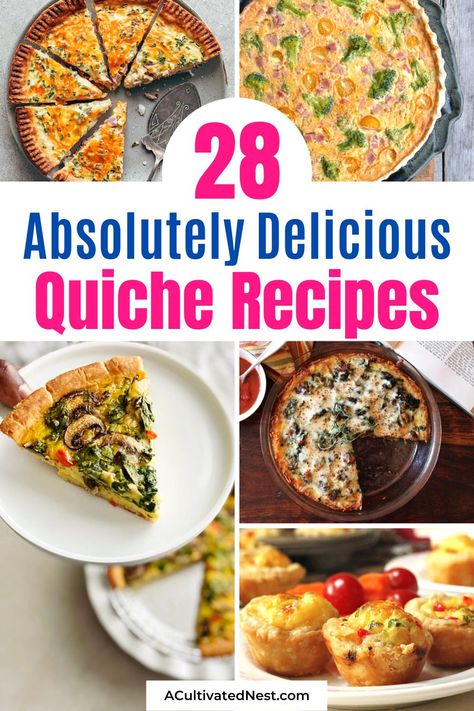 Quiche Recipes Breakfast, Quish Recipes, Best Quiche Recipe Ever, Basic Quiche Recipe, Quiche Recipes Healthy, Best Quiche Recipes, Homemade Quiche, Quiche Lorraine Recipe, Delicious Quiche