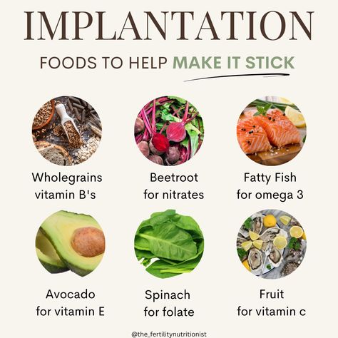 Make it stick!⬇️ ✅️Save this for when you’re in your TWO WEEK WAIT! Real talk; First up I just want to point out the biggest impact you can have on supporting implantation is in the months leading up when the egg and sperm are developing and maturing BUT… That’s not to say your diet during this time isn’t important, it is. To support implantation and early embryo development we want to focus on including these nutrients in our diet ✅️Folate: Essential for DNA synthesis and cell division,... Two Week Wait Diet, Implantation Foods, Bujo Goals, Embryo Development, Indian Food Culture, Pregnancy Smoothie, Two Week Wait, Ivf Tips, Hormone Nutrition