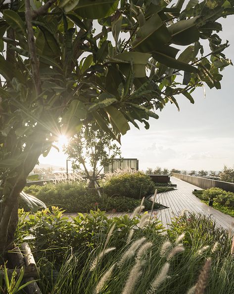 The Deck | Patong, Thailand | SHMA Shma Landscape, Roof Top Landscape, Sunflare Photography, Free Landscape Design Software, Patong Thailand, Design Software Free, Landscape Design Software, Gardening Design, Patong Beach