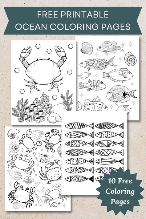 These Free Ocean Coloring Pages are perfect for any little one who loves the sea! With 20 different Under the Sea themed coloring pages, your preschooler will be busy for hours. Each coloring page is designed with preschoolers in mind, and features simple shapes and easy to follow instructions. Kids will love coloring in the octopus, fish, crabs, and more! Plus, these pages are great for fine motor skills development. Download to start coloring today! Printable Ocean Coloring Pages, Under The Sea Pictures, Starfish Colors, Preschool Color Activities, Ocean Coloring Pages, Fish Coloring Page, Preschool Colors, Children Activities, Fine Motor Skills Development