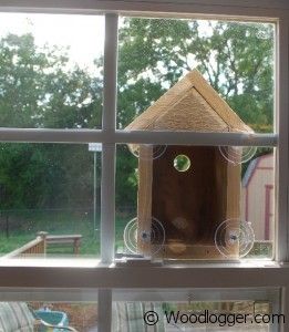 Window Bird House – Nestbox Window Birdhouse, Build A Window, Make A Window, Birdhouse Projects, Homemade Bird Houses, Window Bird Feeder, Homemade Bird Feeders, Nest Box, Bird House Plans