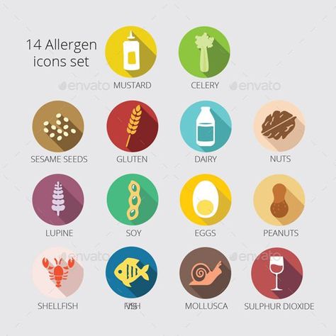 14 Main Allergy icons package | Icon package, Packaging template design, Allergies Icon Package, Container Restaurant, Food Allergies Awareness, 13 December, Allergy Awareness, Health Icon, Packaging Template Design, Liberty Art, Packaging Template