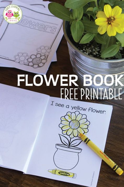 Kids will love these free flower books.  They can learn color words as they read the simple, predictable text. The checklist on the last page serves as a great review or can be used as a flower scavenger hunt. Perfect for your spring garden theme, Earth Day theme, plants theme, or flowers theme unit or lesson plans in your preschool or pre-k classroom.  Take the free printables to the playground or on a walk through the neighborhood or use in your writing center.  #preschool #preschoolactivities Early Learning Ideas, Spring Lesson Plans, Pre K Classroom, Spring Lessons, Preschool Garden, Flowers Theme, Plant Activities, Plants Unit, Color Words