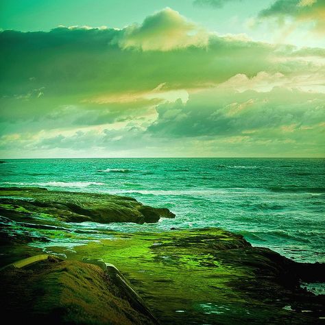 Green. Ocean. Summer. Vibes. Billabong Girls, Green Photography, New Zealand Landscape, Green Ocean, Sea And Ocean, Beautiful World, Beautiful Landscapes, Shades Of Green, Amazing Photography