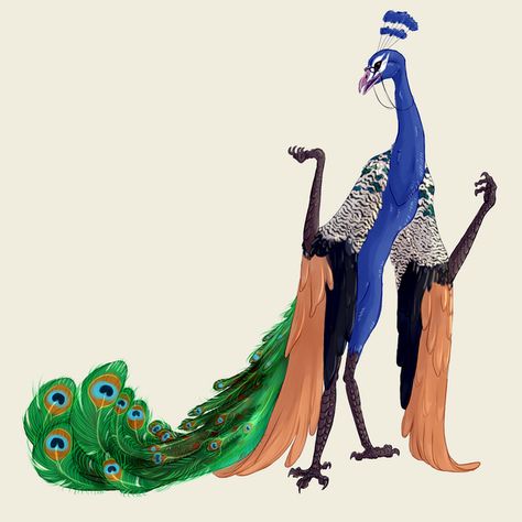 Peacock Monster Art, Peacock Person Character Design, Peacock Fursona, Anthro Peacock, Peacock Aarakocra, Peacock Character Design, Harpy Character Design, Bird Character Design, Arcane Trickster