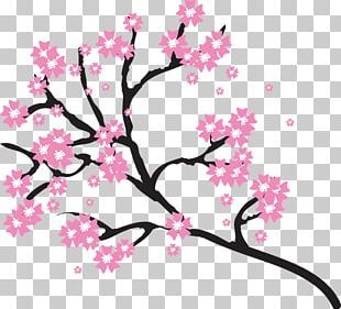 Cherry Blossom Svg Free, Cherry Blossom Svg, Cherry Blossom Png, Image Cricut, Cherry Blossom Clipart, Cherry Blossom Wreath, Cherry Blossom Drawing, Blossom Painting, Corner Borders