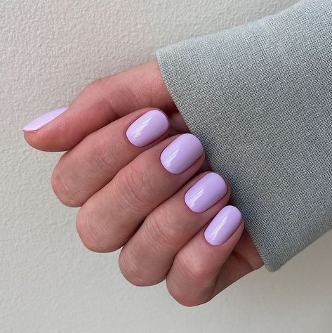 ━ 𝐡𝐚𝐳𝐞𝐥 ☻ Short Nails Ideas Lavender, Spring Nails 2023 Lavender, Lilac Nails 2023, Short Oval Lavender Nails, Nails 2023 Trends Lilac, Short Pastel Purple Nails, Gel Manicure Lavender, Lilac Shellac Nails, Spring Nails 2023 Gel Short Purple