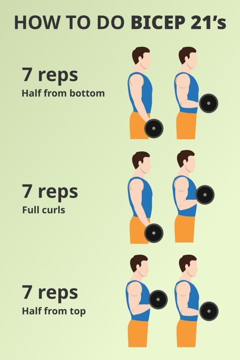 How To Do 21's - The Latest Exercise Craze For Huge Biceps - Gym Geek Huge Biceps, Dumbbell Curls, Preacher Curls, Arm Exercises, Hammer Curls, Biceps Workout, Bicep Curls, Trx, Arm Workout