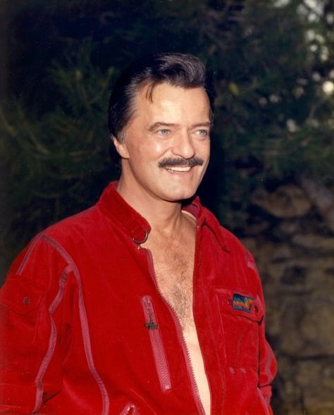 Robert Goulet Robert Goulet, Famous Veterans, Is It Just Me, Hollywood Star, Knights, Just Me, Google Images, Broadway, The Voice