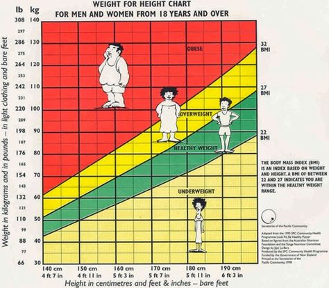 The Edible Editorial : Overweight and Obese Learn the difference between the two and how to compare yourself to these types of charts. Height To Weight Chart, Bmi Chart For Women, Bmi Chart, Weight For Height, Weight Charts, Ideal Body Weight, Healthy Body Weight, Ideal Body, Weights For Women