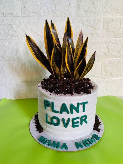 Plant Theme Cake, Plant Lover Cake, Plant Themed Cake, Lover Cake, Theme Cake, Cake Creations, Themed Cakes, Plant Lover, Planter Pots