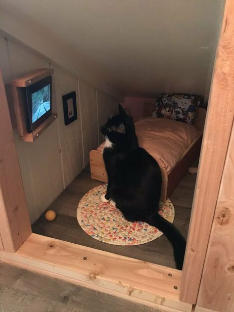 Guy Transforms Empty Space Behind Wall Into Tiny Bedroom For His Cat, Makes Other Cat Parents Feel Bad About Themselves Chat Diy, Kat Diy, Katt Grejer, Cat Bedroom, Söpö Kissa, Cat House Diy, Koci Humor, Bilik Tidur, Animale Rare