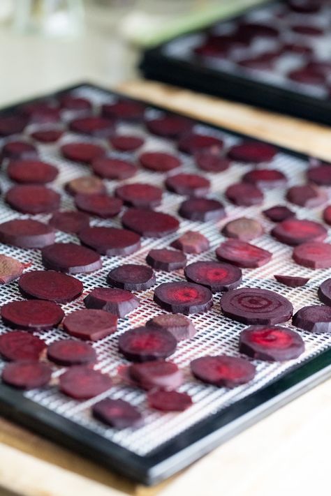 Preserving Beets, Dehydrated Beets, Dehydrating Beets, How To Dehydrate Beets, Dehydrate Beets, Dehydrating Beets In Dehydrator, Dehydrated Beets In Dehydrator, Dehydrate In Oven, Beet Chips Dehydrator