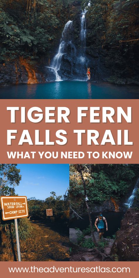 Ready for an outdoor adventure? Check out this guide to hiking Tiger Fern Falls in Belize and discover the beauty of this hidden waterfall and lush trail. — belize vacation | belize waterfalls | waterfall photoshoot | waterfall | waterfall hike aesthetic Belize Waterfalls, Photoshoot Waterfall, Cockscomb Basin Wildlife Sanctuary, Hike Aesthetic, Waterfall Photoshoot, Hidden Waterfall, Belize Vacation, Waterfall Hike, Belize Vacations