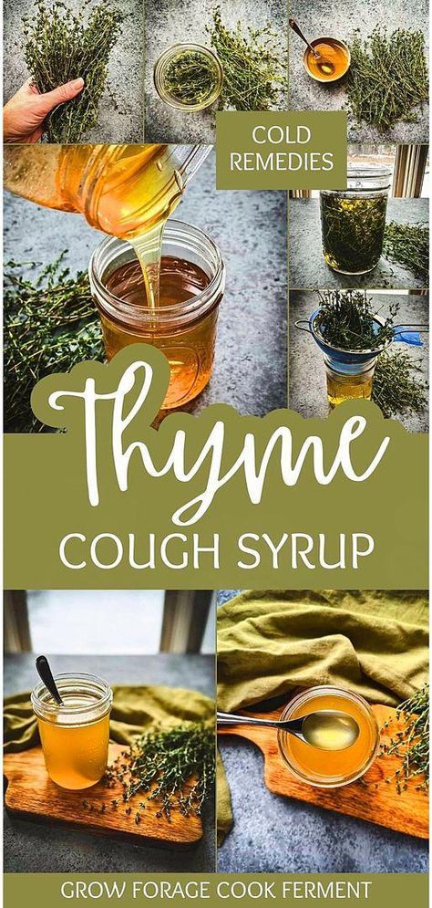 Follow our Thyme Cough Syrup Recipe for a natural approach to herbal remedies recipes. This syrup combines thyme's medicinal properties with honey's soothing effects, perfect for easing coughs and cold symptoms. Ideal for those interested in homemade herbal medicine. Find more about herbalism for beginners, natural remedies, and herbs for health at growforagecookferment.com. #HealthFitnessTips Herbal Medicine For Beginners, Herbalism For Beginners, Herbal Honey, Cough Syrup Recipe, Herbal Health, Herbal Remedies Recipes, Natural Things, Health Drinks, Food Medicine