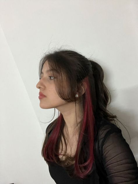 Red Highlight Magic: Sizzling Styles Red Dye Black Hair, One Highlight In Hair, Dark Red Hair Front Strands, Brown Hair With One Streak Of Color, Under Hair Streaks, Red Hair Streaks Aesthetic, Under Streaks Hair, Black Hair With Wine Red Underneath, Peekaboo Hair Color Minimal