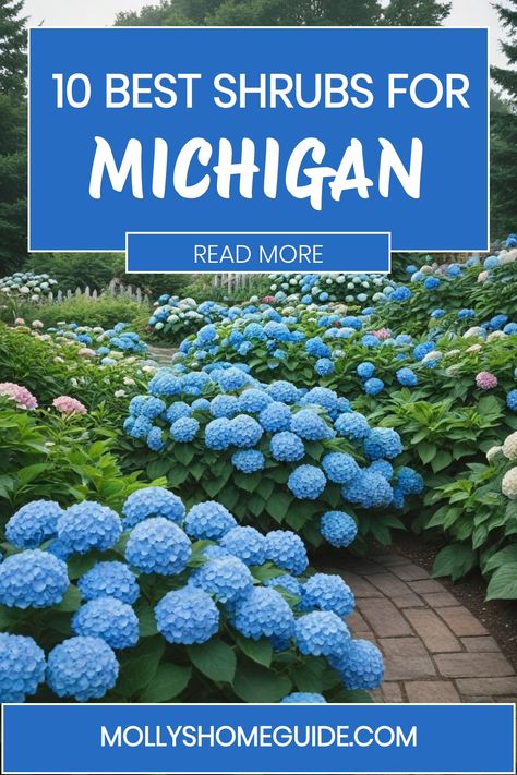 Discover the best shrubs for Michigan to enhance your landscape planting. From shade shrubs for Michigan to flowering shrubs, explore a variety of options suited for Michigan's climate. Transform your outdoor space with these top picks of Michigan trees and shrubs that thrive even in winter. Your garden will bloom all year round with these selected shrubs catered specifically to Michigan's unique environment. Start planning your dream garden today with our recommendations on the best shrubs for Michigan Landscaping, Michigan Trees, Ninebark Shrub, Michigan Garden, Michigan Gardening, Low Maintenance Shrubs, Shade Shrubs, Burning Bush, Flowering Shrubs