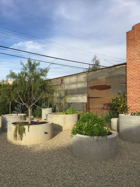 Before & After: 'Delightfully Sculptural Elegance' in Flora Animalia's Gravel Garden in Los Angeles - Gardenista Australian Native Garden, Farmhouse Landscaping, Clover Canyon, Gravel Garden, Fence Landscaping, Concrete Garden, Home Landscaping, Landscape Features, Vegetable Garden Design