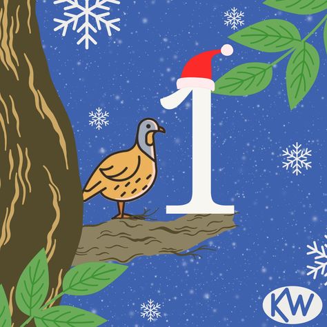 On the first day of Christmas, my true love sent to me: a partridge in a pear tree. #merrychristmas 12 Days Of Xmas, Partridge In A Pear Tree, My True Love, Pear Trees, Pear Tree, Partridge, 12 Days, First Day, True Love