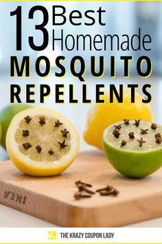 Misquote Repellent Diy, Homemade Fly Traps, Mosquito Repellent Plants, Homemade Bug Repellent, Repellent Diy, Mosquito Repellent Candle, Mosquito Repellent Homemade, Cats Crazy, Diy Mosquito Repellent