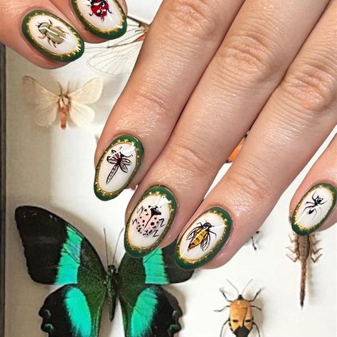 buggies ~ insects ~ outside ~ taxidermy ~ 🕷️🐜🦟🐞🪳 • • • #nailart #nails #art #miami #miaminails #nailsinmiami #funnailart #taxidermy… | Instagram Insect Nail Art, Bug Nail Art, Insect Nails, Dragonfly Nail Art, Bug Nails, Horror Nails, Butterfly Taxidermy, Lovely Nails, Shoe Nails