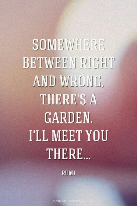 Somewhere between right and wrong, there's a garden. I'll meet you there... RUMI Somewhere Between Right And Wrong Rumi, Illusion Quotes, Profile Status, Rumi Poem, Rumi Love Quotes, Rumi Love, Right And Wrong, Abraham Hicks Quotes, Rumi Quotes