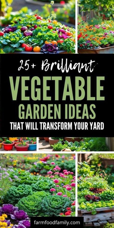 25+ Inspiring Vegetable Garden Ideas to Boost Your Harvest 58 Home Garden Vegetable Ideas, Back Yard Vegetable Garden, Vegetable Garden In Front Of House, Vegetable Garden Layout Design Raised Beds Small Spaces, Veggies Garden Ideas, Homestead Vegetable Garden, Planting A Vegetable Garden, Creative Vegetable Garden Ideas, Container Gardening Vegetables Layout