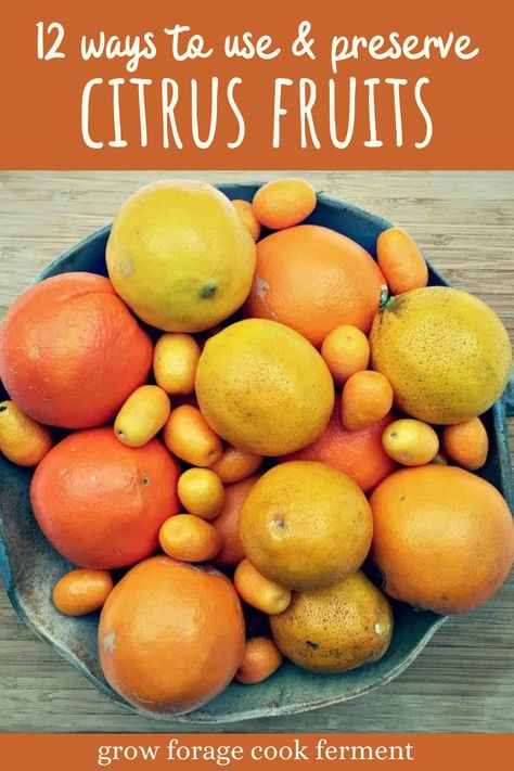 Citrus season is short, but so delicious! When citrus is abundant, learn how to use the best of the harvest, and the many ways to preserve lemons, limes, oranges, and all of the other citrus. Get recipes for canning, preserving, using the zest, and so much more. Click through for 12 ways to use and preserve citrus! Dehydrated Herbs, Preserve Lemons, Recipes For Canning, Natural Pharmacy, Citrus Cleaner, Vinegar Cleaner, Citrus Desserts, Fruit Watermelon, Cooking For A Group