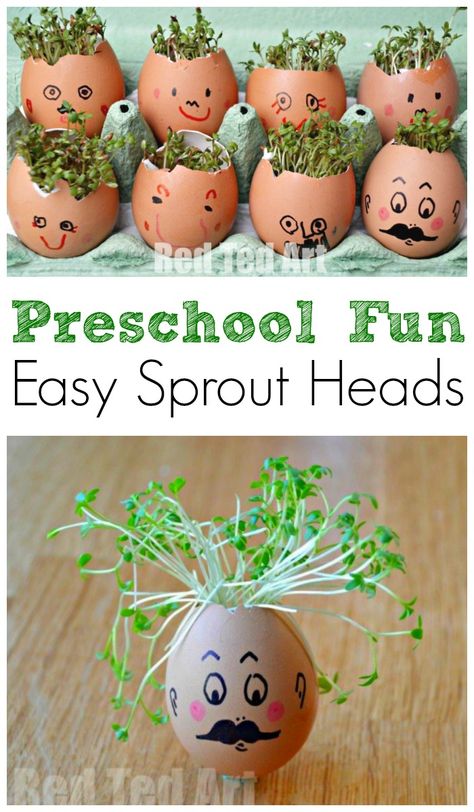 Cress Heads, Preschool Steam, Aktiviti Tadika, Steam Activity, Preschool Garden, Red Ted Art, Garden Activities, Childcare Activities, Spring Preschool