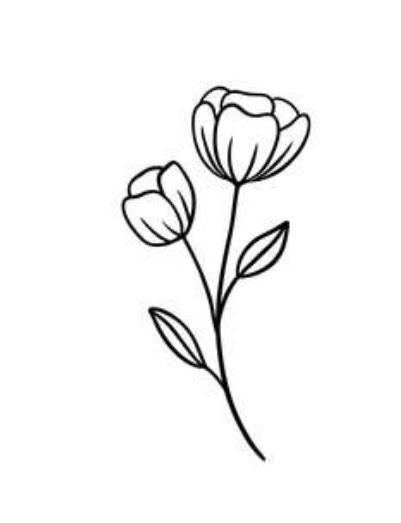 Basic Flowers Drawing, Flower Basic Drawing, Basic Flower Drawing, Traditional Tattoo Designs, Poppy Drawing, Skin Drawing, Draw Flowers, Floral Tattoo Sleeve, Getting A Tattoo