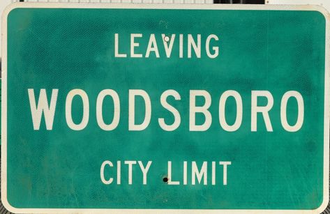 Woodsboro Sign, Ghostface Scream, Michael Myers Halloween, Never Sleep, City Limits, Freddy Krueger, Classic Horror, Michael Myers, Movie Game