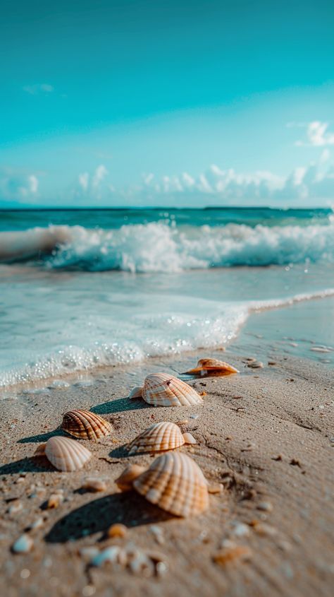 Where every shell tells a story of the sea 🌊📖   #BeachVibes #Seashells #OceanBreeze #SandyToes #BeachTreasure #CoastalLiving #SeasideSerenity #ShorelineMemories #NatureJewels #SeaStory #OceanMagic #TideWhisper #BeachLife #SunnyDays #OceanLove Sea Shells On The Beach, Shell On Beach, Seashell Photography, Seashells On The Beach, Seashells Photography, Sea Stories, Summer Wallpapers, Sea Dream, Drama Club