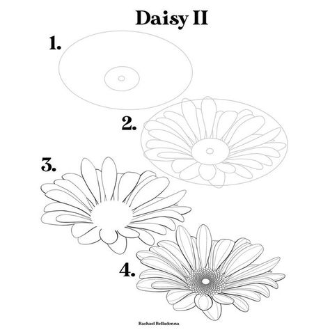 How To Draw Daisies, How To Draw Flowers Step By Step, Daisy Flower Drawing, Trin For Trin Tegning, Daisy Drawing, Round Flowers, Easy Flower Drawings, Wednesday Friends, Cocoa Tea