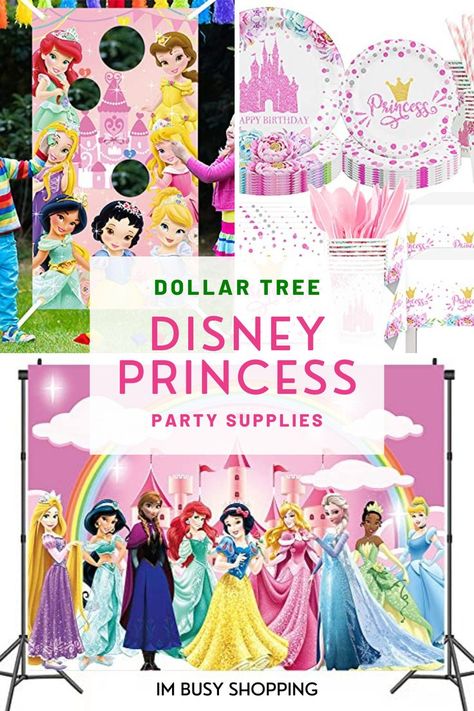 Affordable Disney Princess Party Supplies Fit for Royalty! Princess Party At The Park, Disney Theme 3rd Birthday, Princess Party On A Budget, Disney Theme Birthday Party Decorations, Princess Bday Party Ideas, Disney Princess Party Ideas Decorations, Disney Princess 3rd Birthday Party, Simple Princess Party, Princess Party Crafts