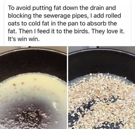 Household Cleaning Tips, Bird Food, Simple Life Hacks, Diy Life Hacks, Food Cooking, House Cleaning Tips, Diy Cleaning Products, Useful Life Hacks, Kitchen Hacks