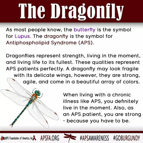 APS Awareness Month - Day 10: If you've ever been wondering why the dragonfly was chosen as the official #mascot of #APS, today's graphic will explain! The #dragonfly, although delicate looking, is strong and fast. It represents living in the moment and living every day to its fullest. We believe this is the PERFECT symbol to represent APS patients!! What do you think? Come back tomorrow for a new graphic.  Don't forget the hashtags #AntiphospholipidSyndrome #APSAwareness #GoBurgundy #APSMatters Auto Immune, Living In The Moment, Bone Marrow, Chronic Illness, Spiritual Quotes, Come Back, Disease, You Think, Don't Forget