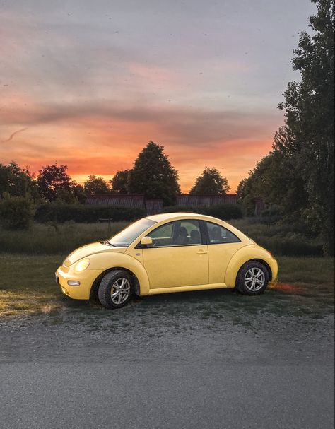 Buggy Car Volkswagen, Volts Wagon Beetle, Beetle Car Volkswagen, Yellow Beetle Car, Volkswagen Beetle Aesthetic, Yellow Volkswagen Beetle, Volkswagen Beetle Interior, Punch Buggy, Beetle Volkswagen