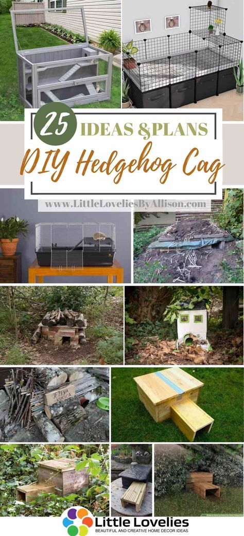 25 DIY Hedgehog Cage – Indoor and Outdoor Enclosures For Your Hedgehog Pygmy Hedgehog Set Up, Hedgehog Home Diy, Make A Hedgehog House, Best Hedgehog Cage, Hedgehog Enclosure Diy, Natural Hedgehog Habitat, Hedgehog House Diy, Hedgehog Habitat Diy, Hedge Hog Cage Ideas