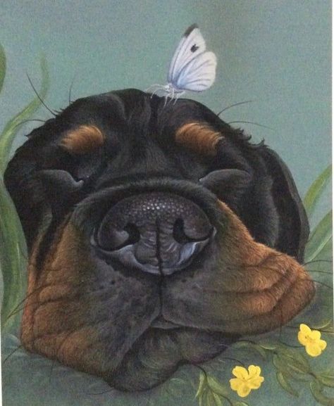 Rottweiler Drawing, Rottweiler Painting, Rottweiler Love, Dog Sleeping, Rottweiler Lovers, Dog Painting, Rottweiler Dog, Cow Art, Print Painting