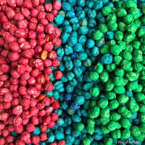 How to Dye Chickpeas with Food Coloring or Watercolors – Play of the Wild Hands On Learning Activities, The Lawnmower Man, Sensory Bin Play, Types Of Beans, Uk Education, Cupcake Tins, Liquid Watercolor, White Wine Vinegar, Baking Paper