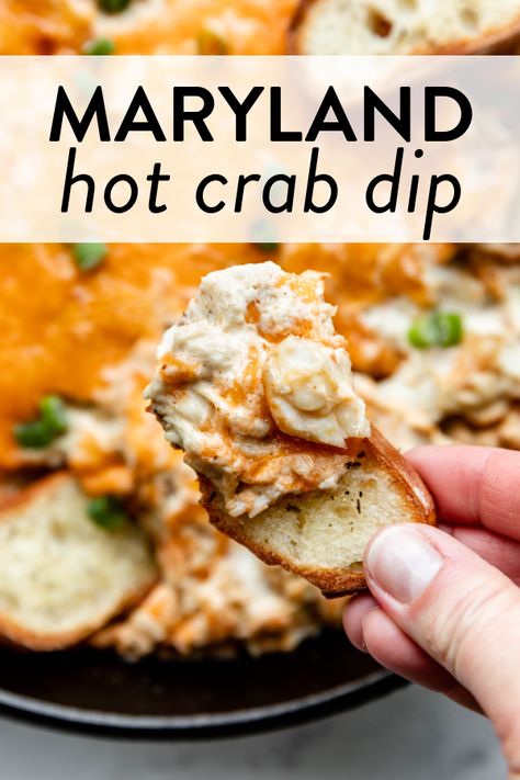 Maryland Hot Crab Dip, Maryland Style Seafood Dip, Crab Dip Maryland, Maryland Crab Balls, Recipes With Fresh Crabmeat, Best Maryland Crab Dip, Crab Dishes Dinners Meals, Md Crab Dip, What Goes With Crab Legs For Dinner