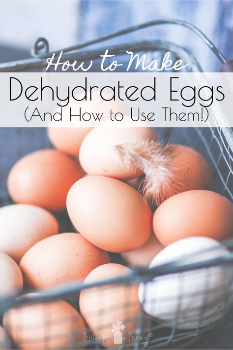 Dehydrated Eggs, Dehydrating Eggs, Preserve Eggs, Dehydrated Recipes, Preserving Eggs, Dehydrating Food Storage, Food Dehydration, Egg Aprons, Dehydrated Foods