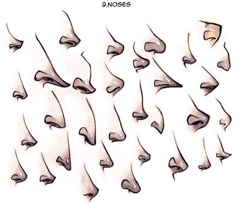 Different types of noses Noses Reference Drawing, Noses Drawing, Cartoon Noses, Nose Types, Character Design Tips, Animal Noses, Hair Stenciling, Nose Drawing, Nose Shapes