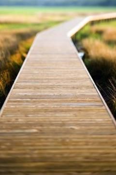 How to Make a Walkway With Deck Wood | Home Guides | SF Gate Deck Wood, Redwood Decking, Wood Walkway, Outdoor Walkway, Wooden Walkways, Tree Root, Garden Walkway, Pallet Garden, Decks Backyard