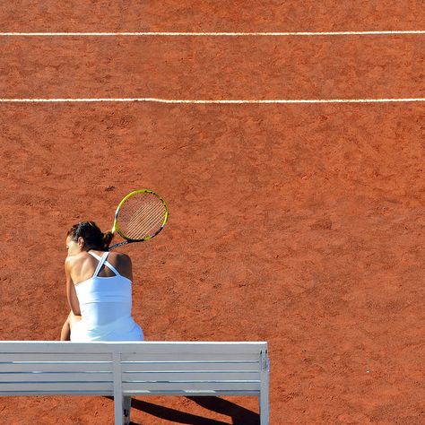 Carrie Soto Is Back, Taylor Jenkins Reid, Tennis Aesthetic, Tennis Life, Tennis Clubs, Sporty And Rich, Tennis Clothes, Wimbledon, Tennis Players