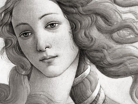 VENUS #nomadoftheday #nomadchic #nomad Venus Drawing, Aphrodite Goddess, Sandro Botticelli, She Wolf, Witchy Things, Easy Drawing, Art Lovers, Aphrodite, Art Art